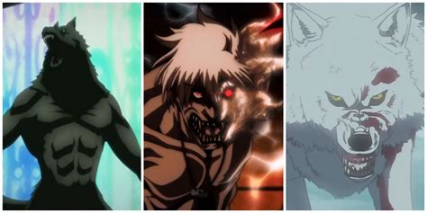 The 15+ Best Werewolf Anime Of All Time